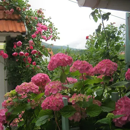 Flower Garden *