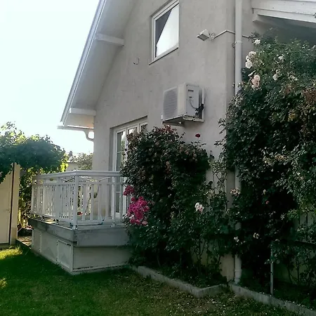 Flower Garden *